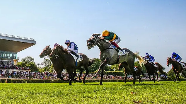 競馬場デートおすすめプラン！女子ウケするスポットや服装・注意点まとめ