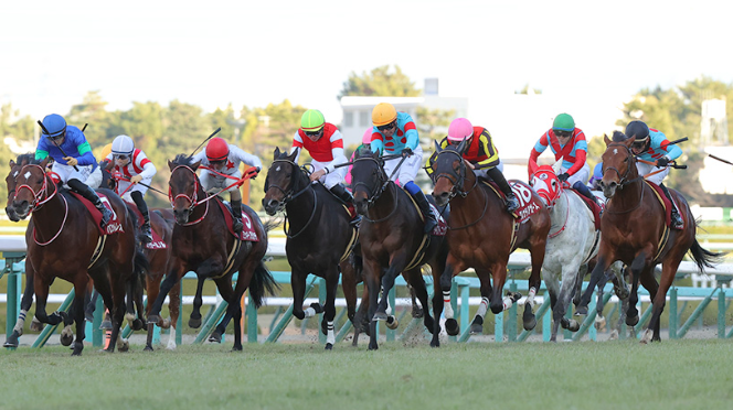 船橋競馬場は「荒れる」のが特徴！その要因を解説